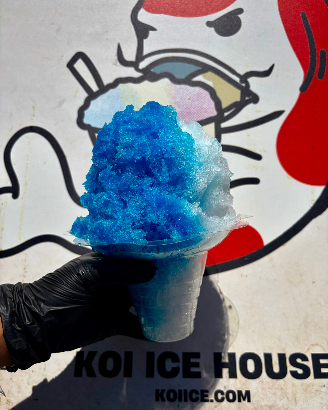 Shave Ice Food Vendor