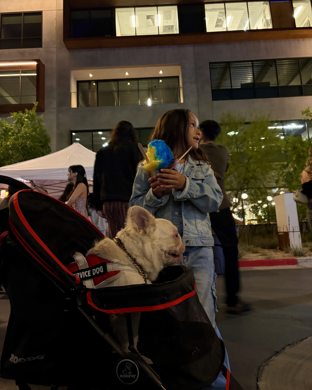 Koi Ice Flavor Options and Toppings Menu Las Vegas