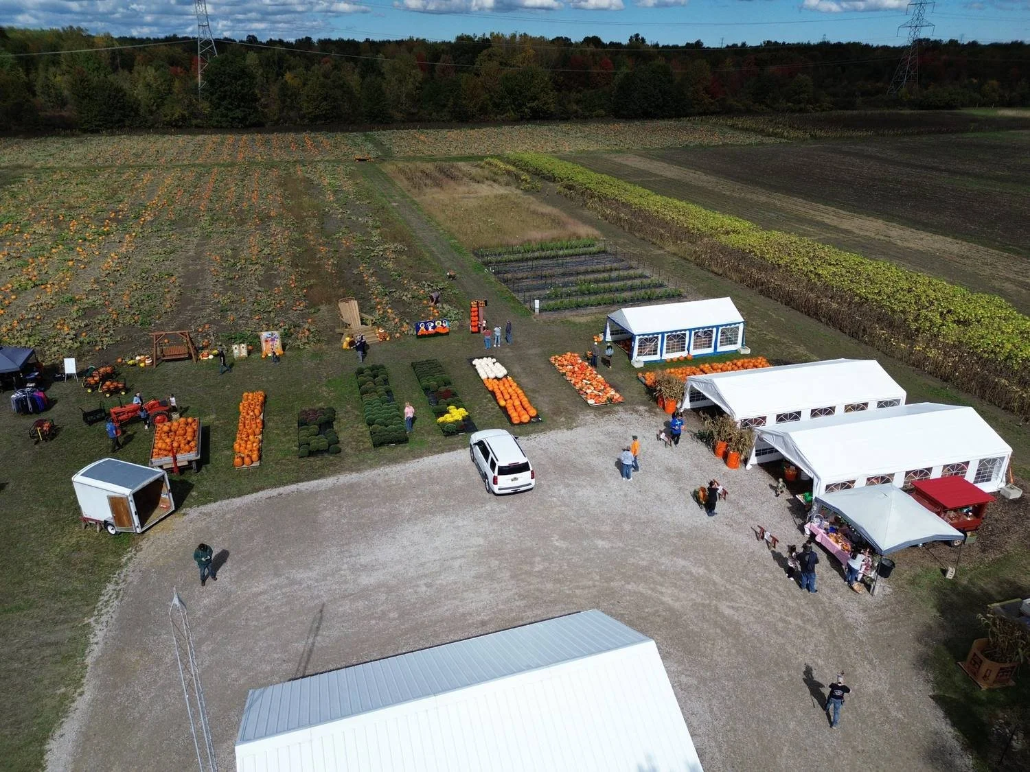 tipper-farms-harvest-fest-displays-and-pumpkin-patch-aerial.jpg