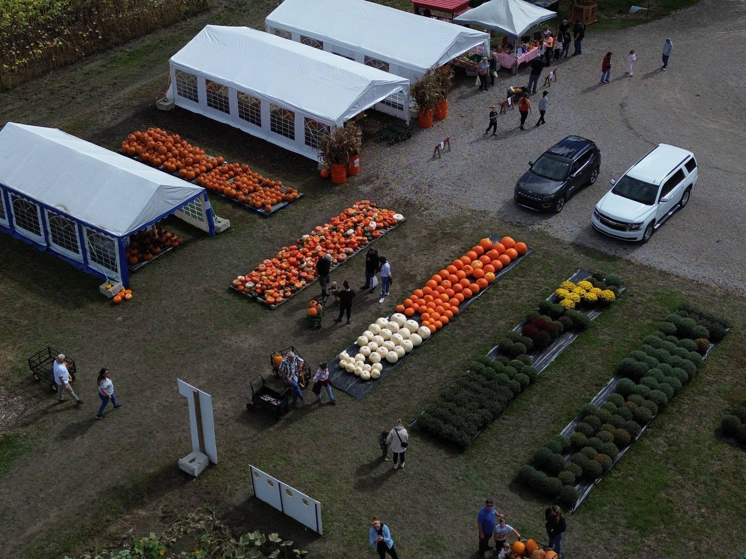 tipper-farms-pumpkin-tents-and-fall-displays.jpg