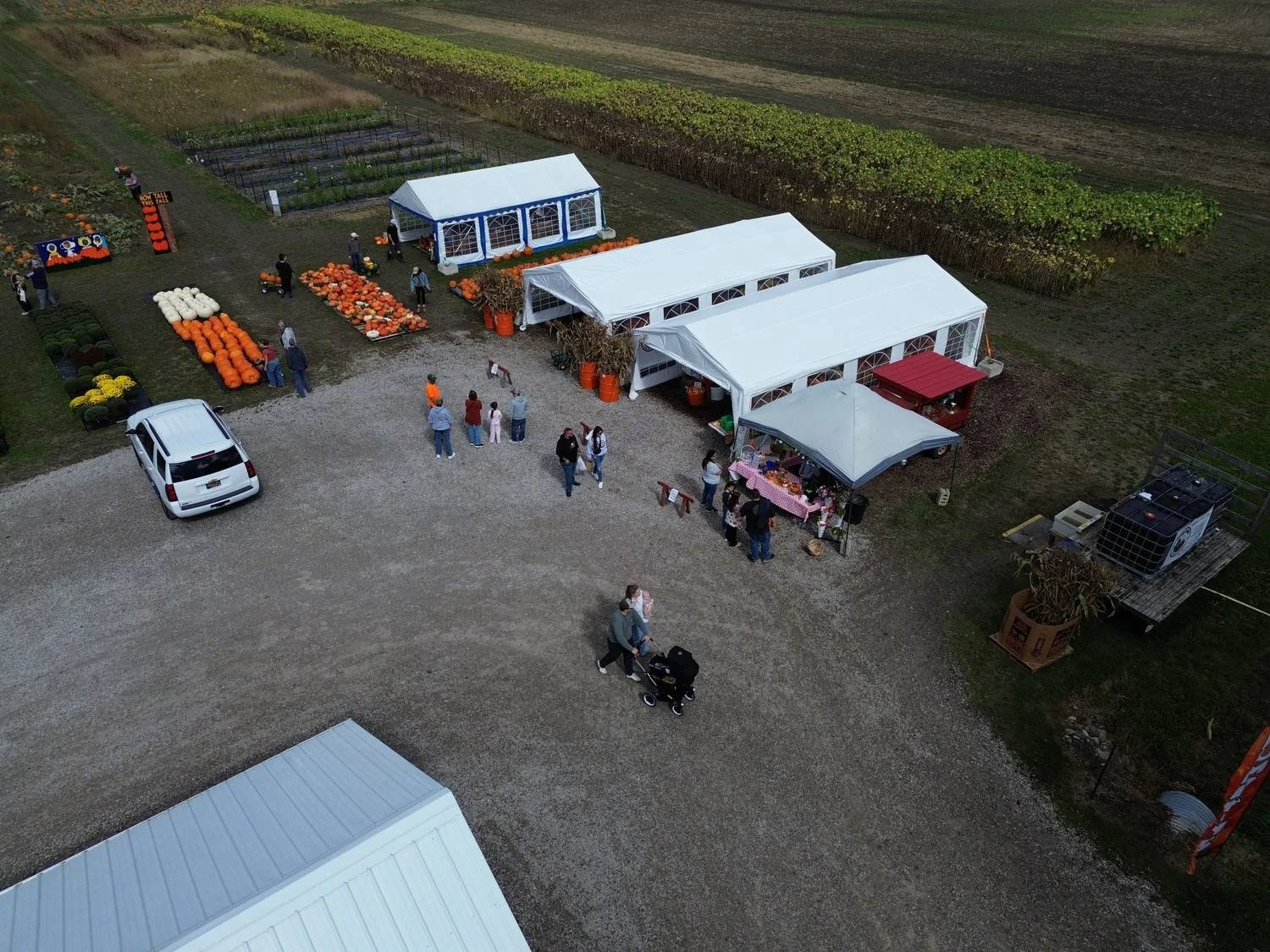 families-at-tipper-farms-harvest-fest-market-tents.jpg
