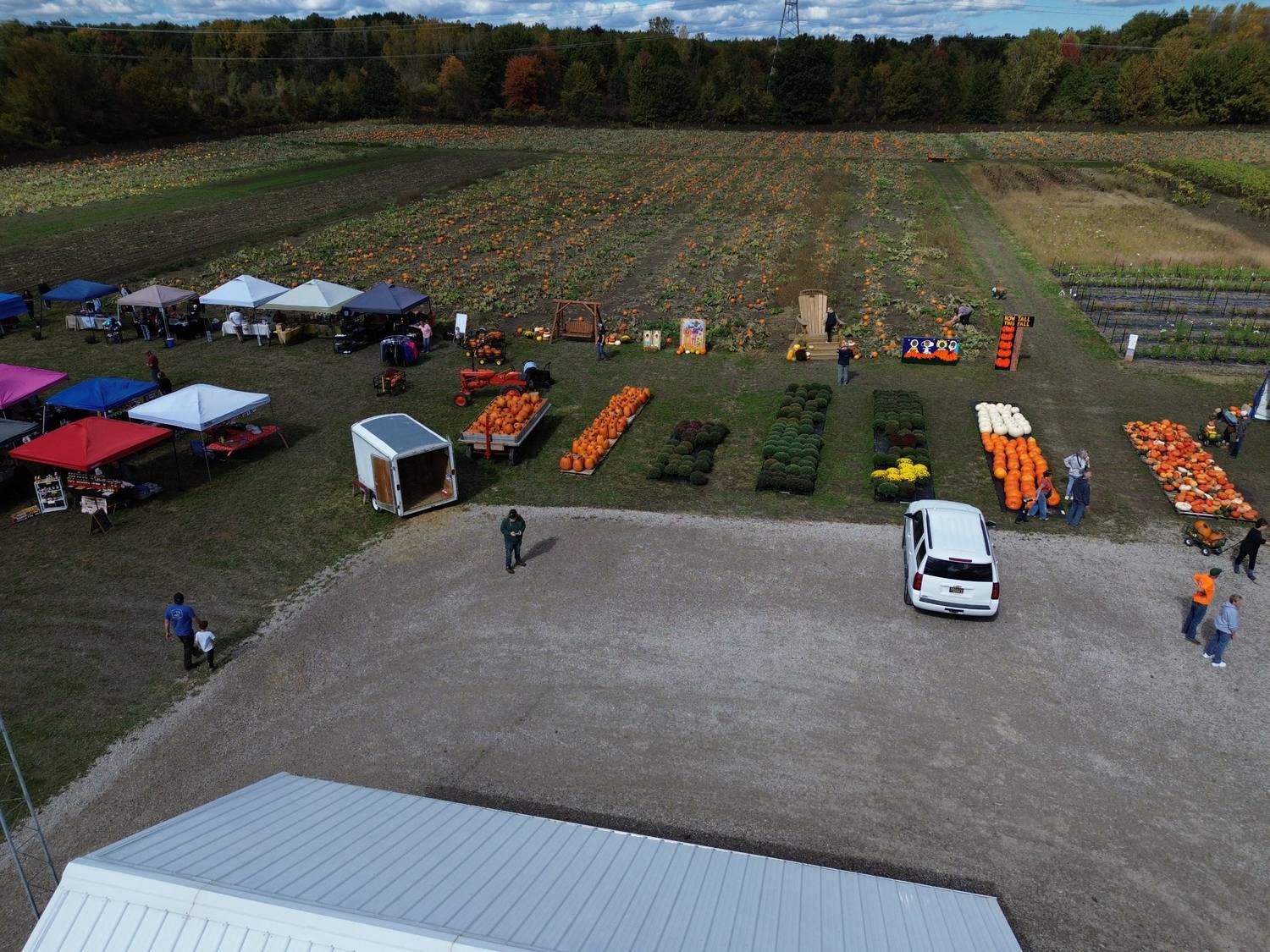 tipper-farms-pumpkin-field-and-fall-displays-aerial.jpg