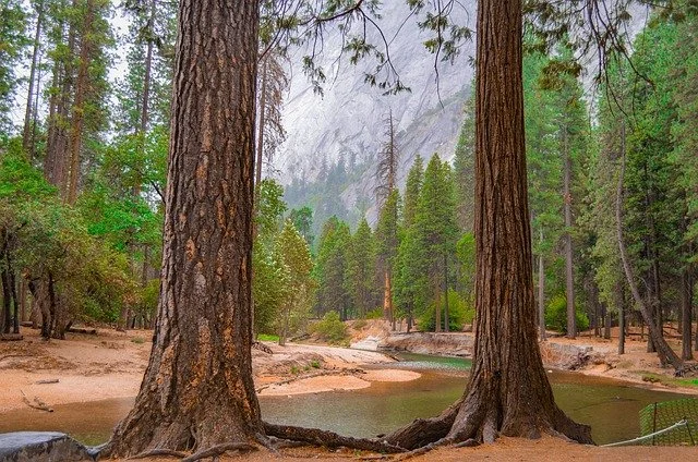 Yosemite National Park