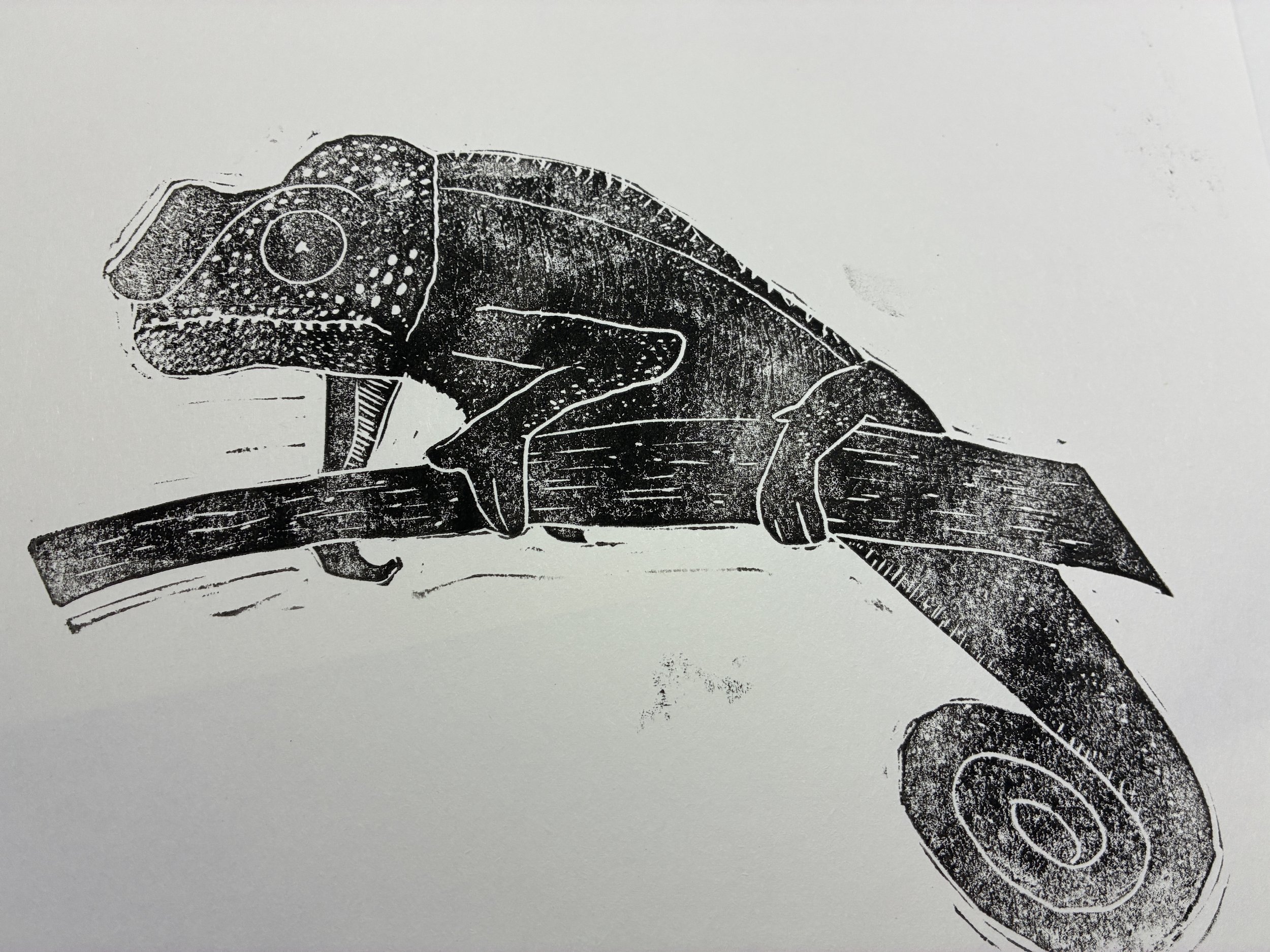 caméléon monochrome