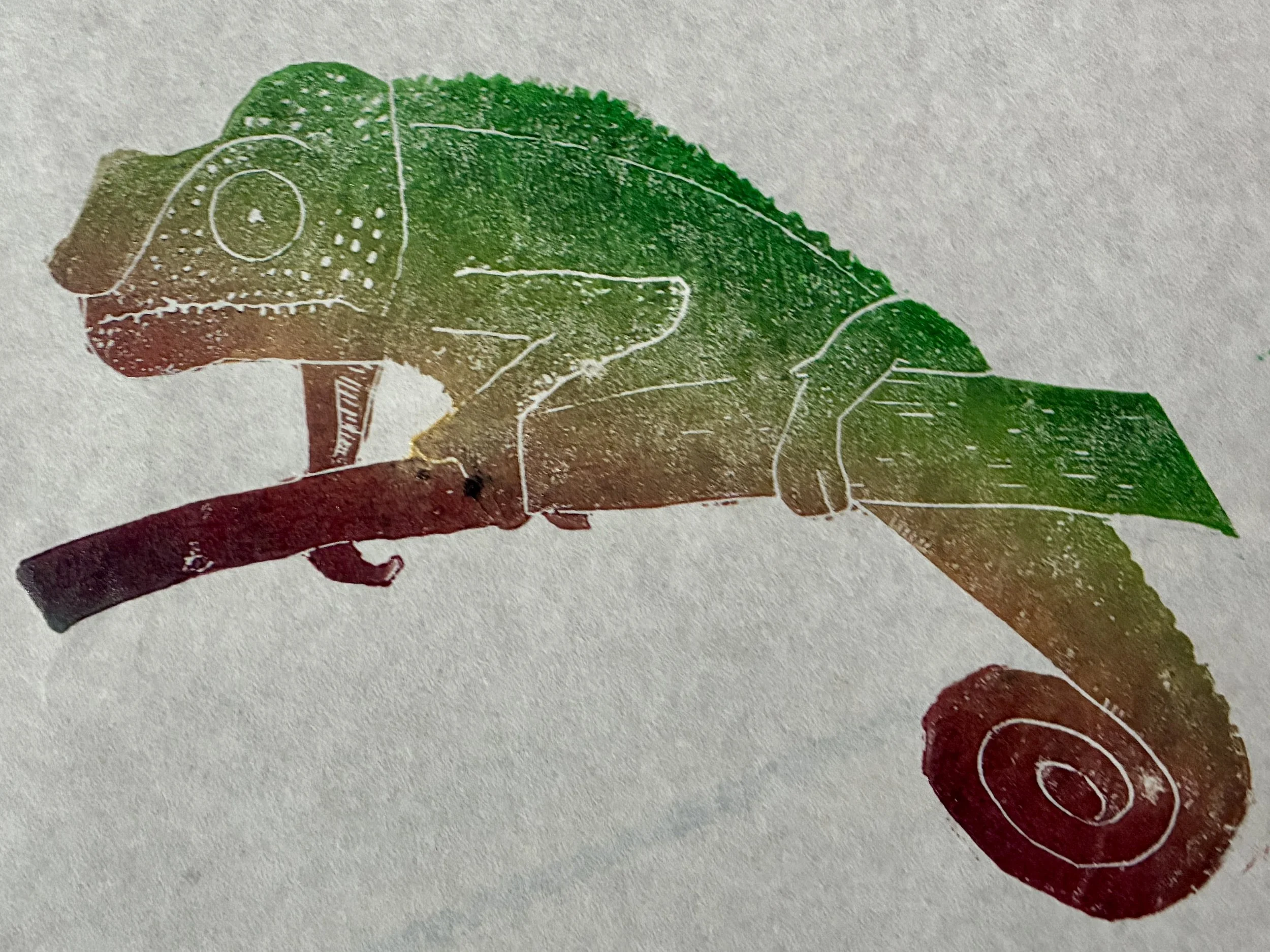 caméléon polychrome