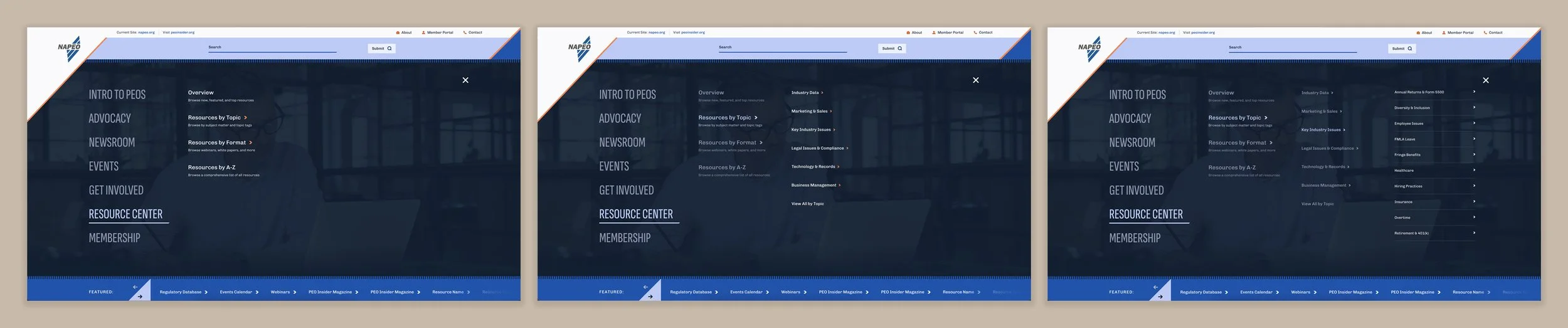 A sequential view of the NAPEO website's four-tier navigation structure
