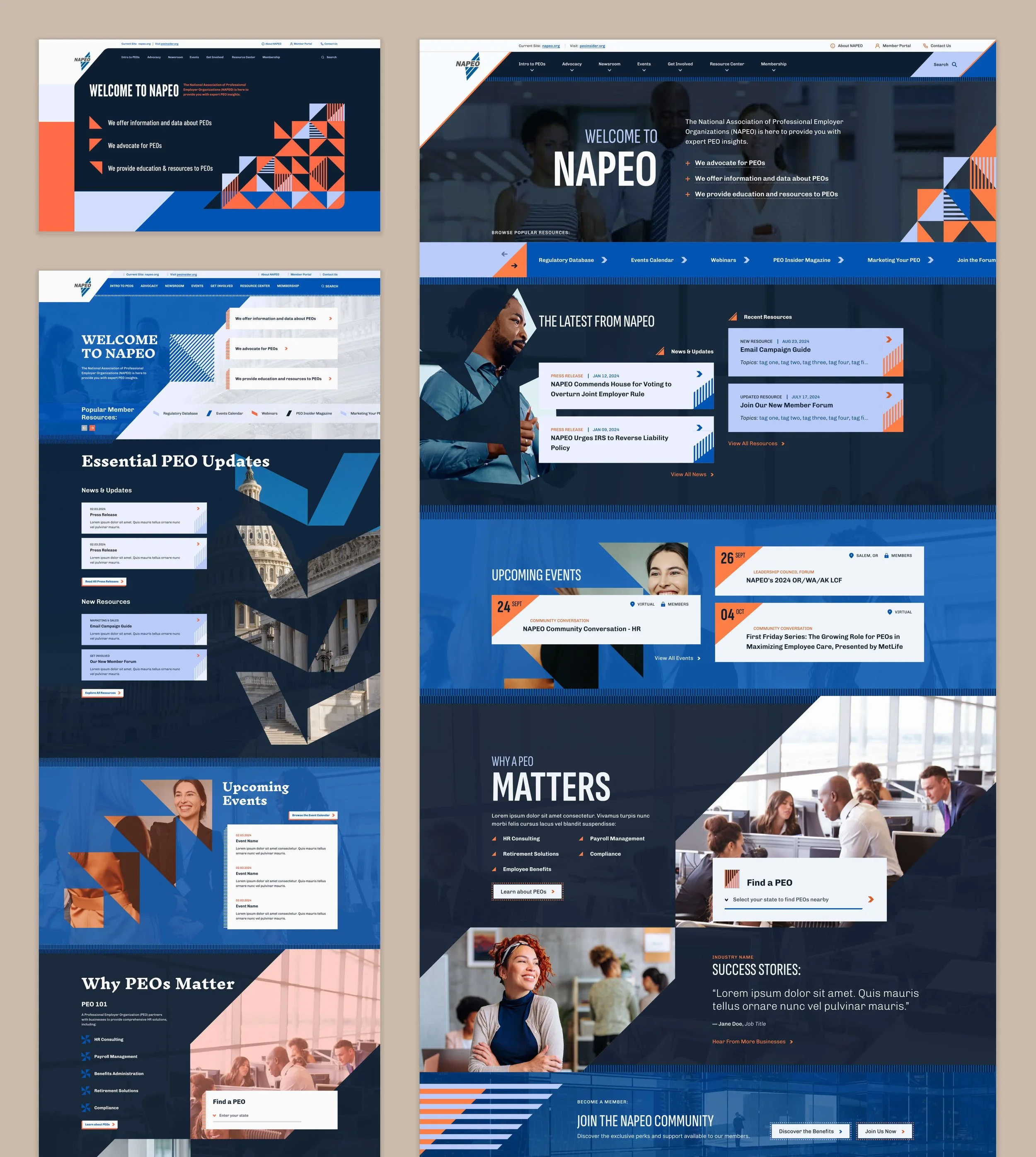 A lockup showing three different approaches to the NAPEO website design