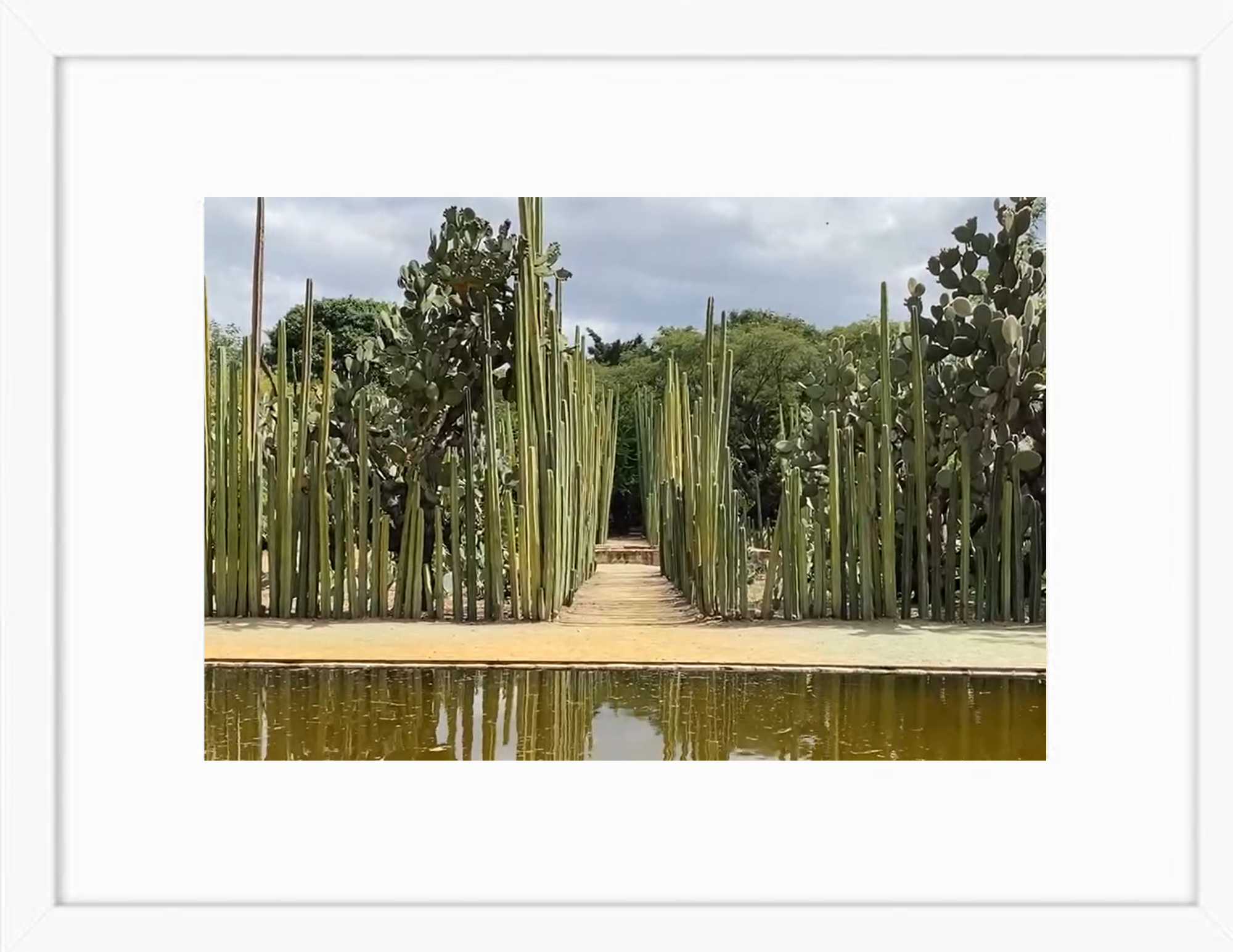 Reflections of Oaxaca’s Living Walls