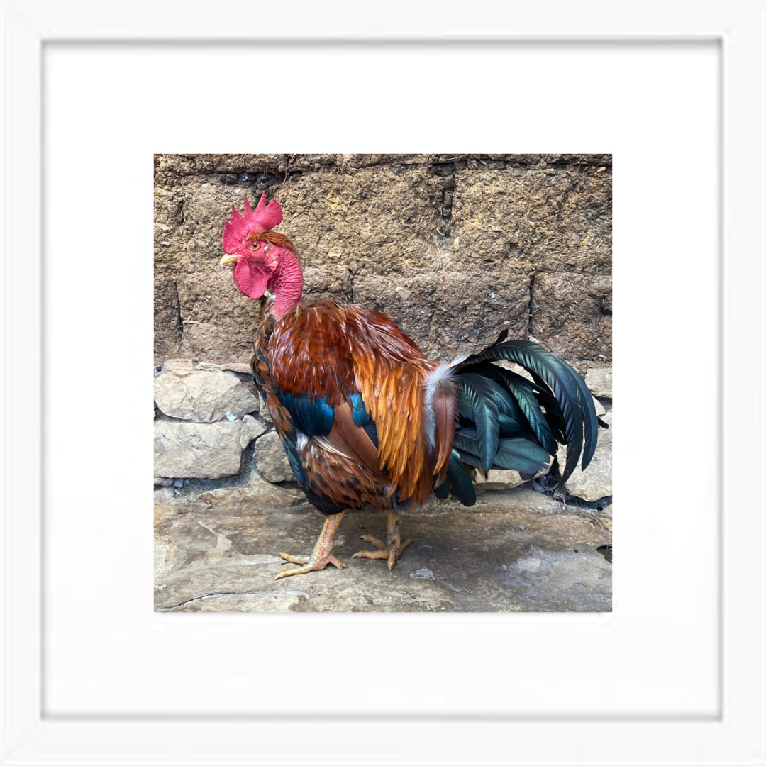 The Print Shop Guardian