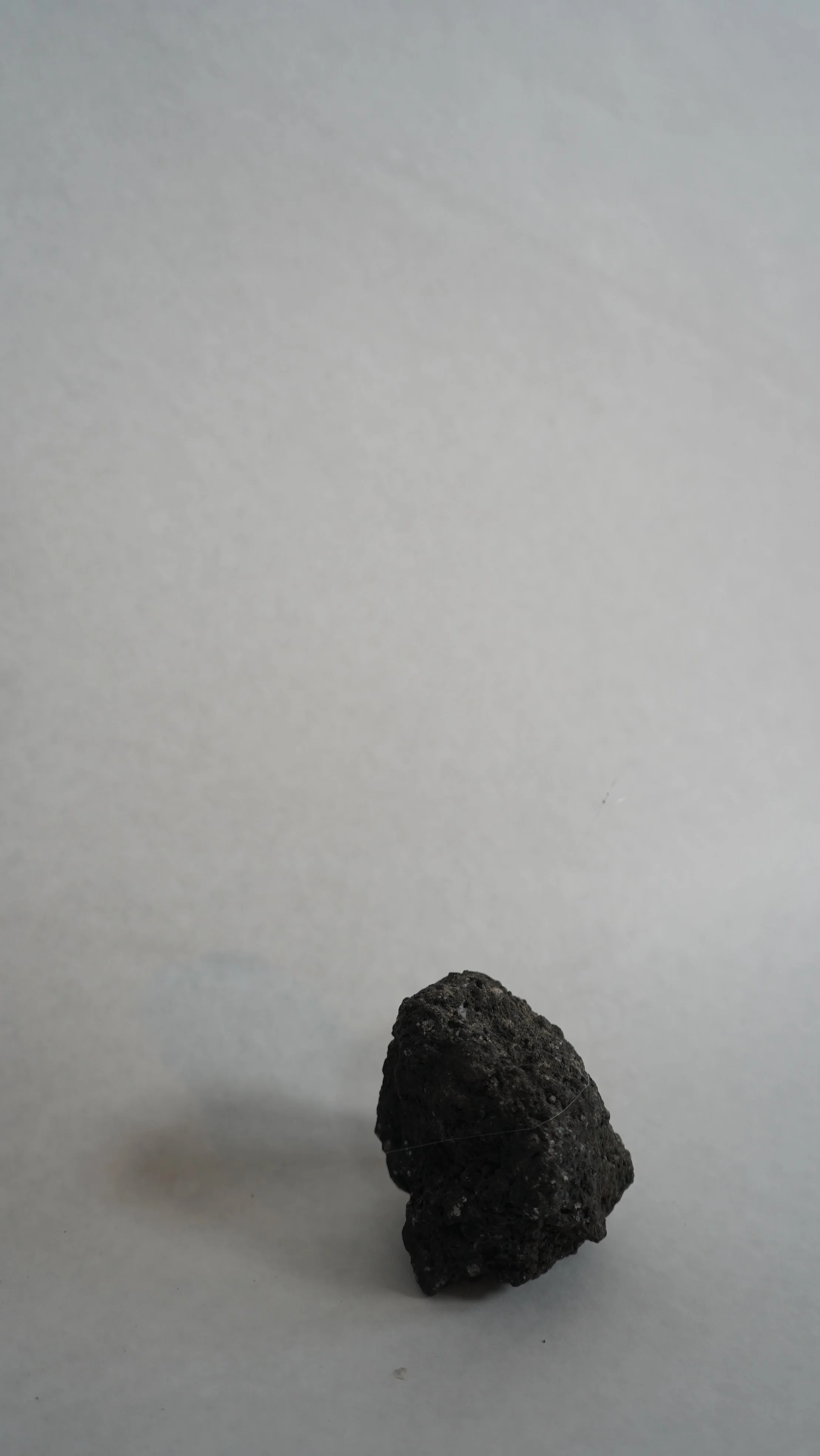 DSC07865.JPG