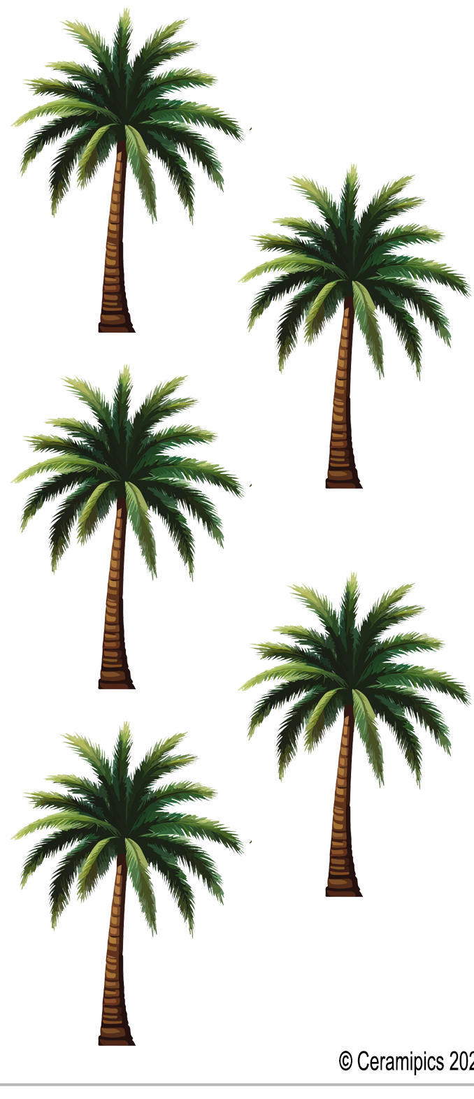Palm Trees.png