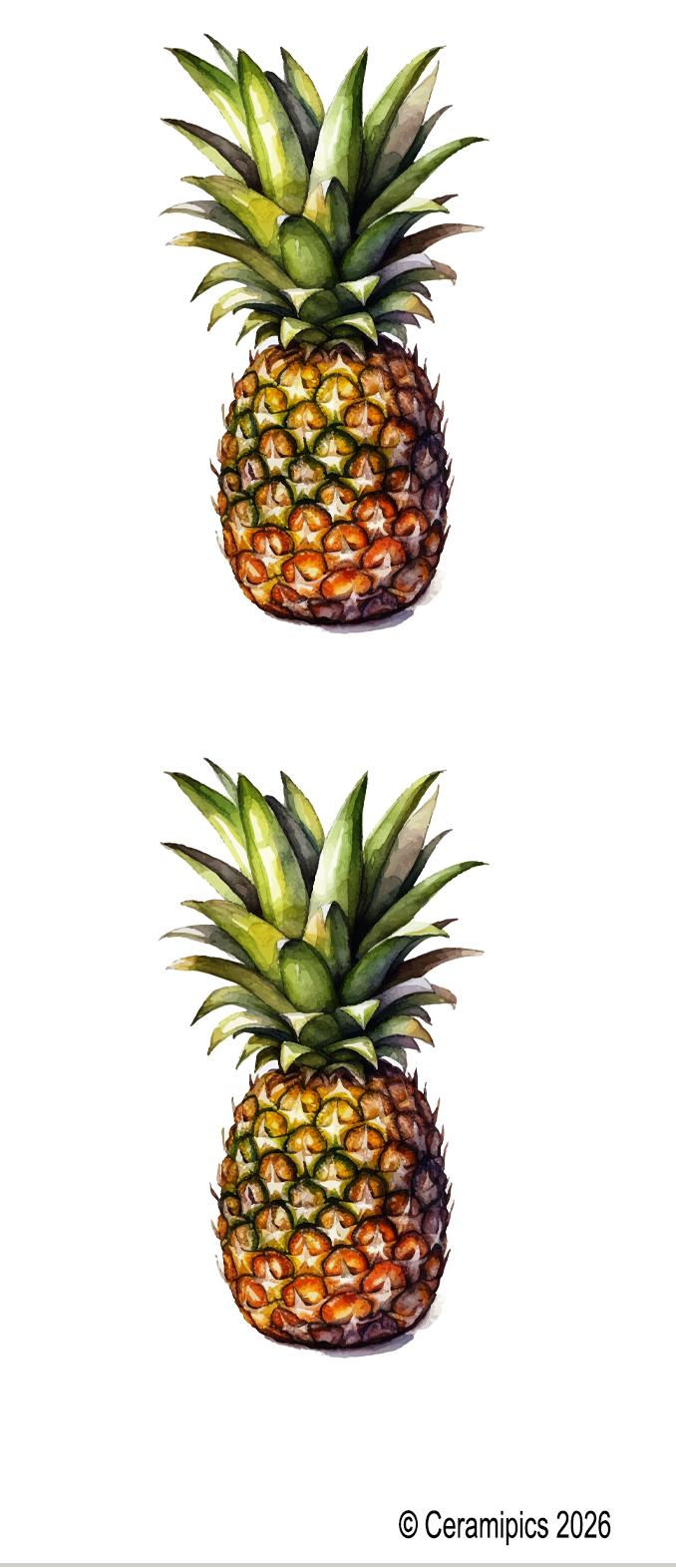 Pineapple watercolor.png