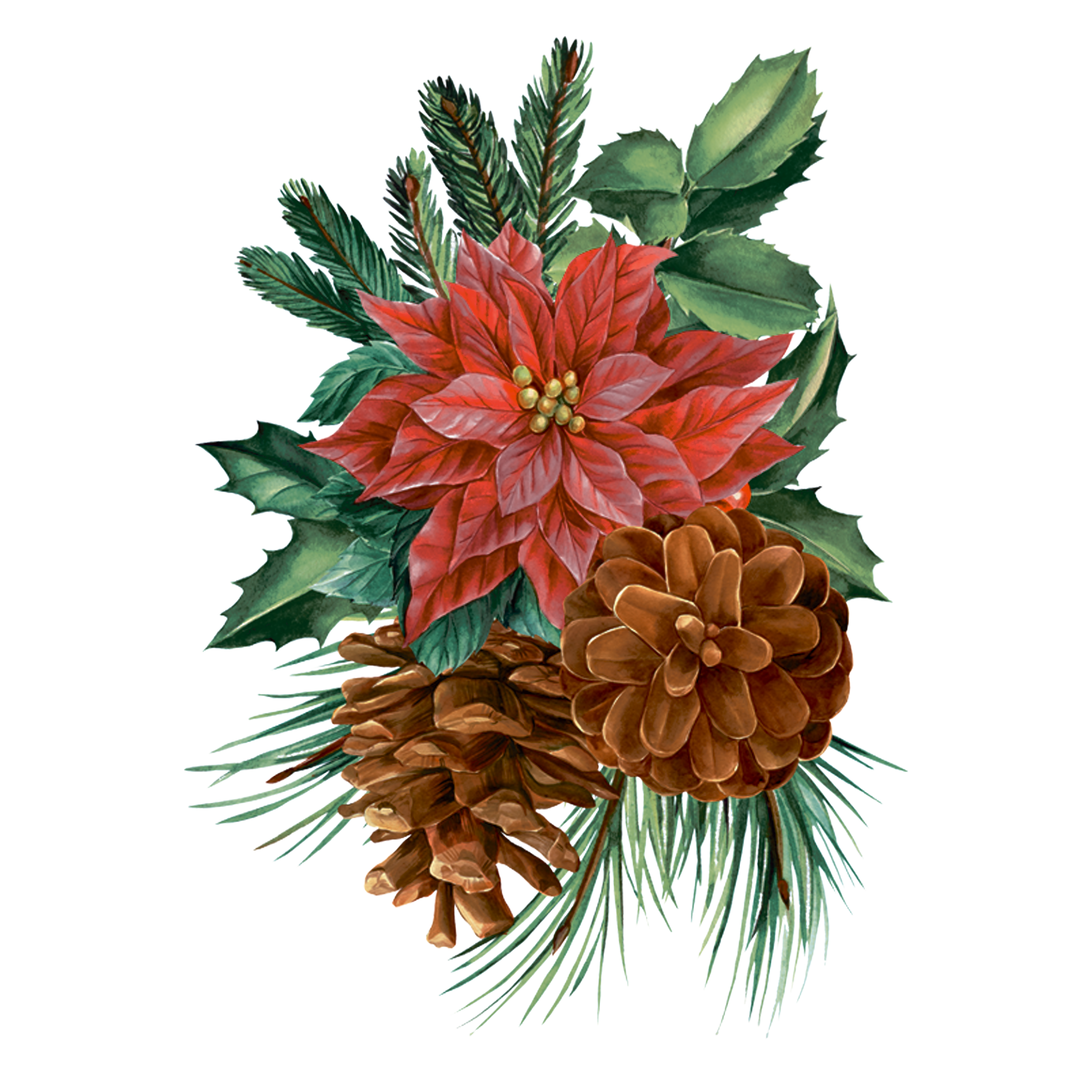 poinsettia-and-pinecones-TH.png