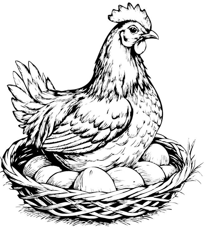 Chicken+laying.png