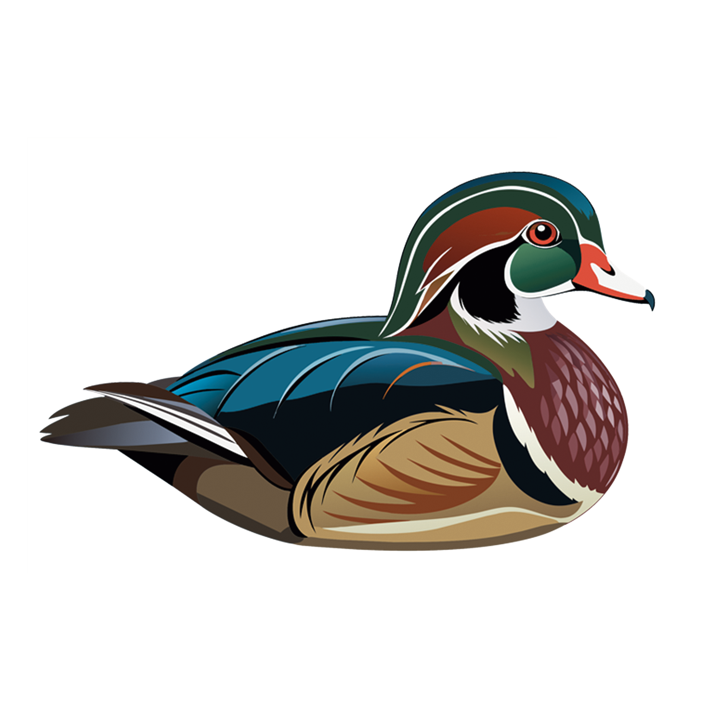 wood-ducks-TH.png