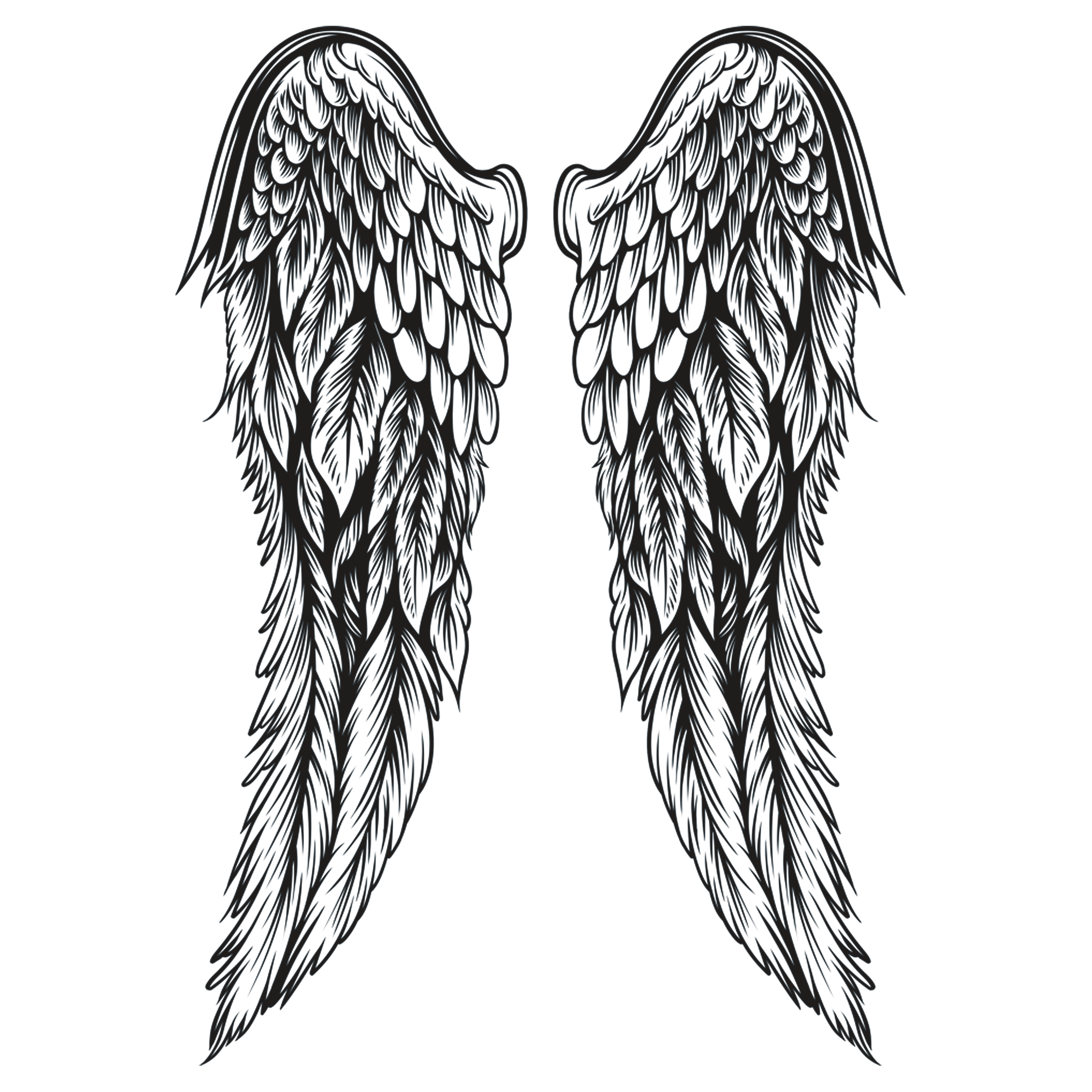 wings-TH.png