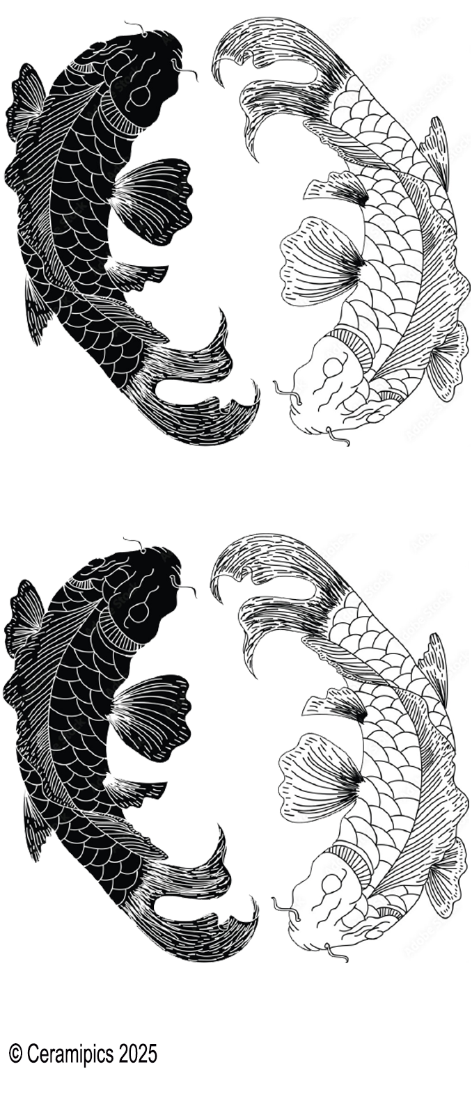 Koi Pair.png