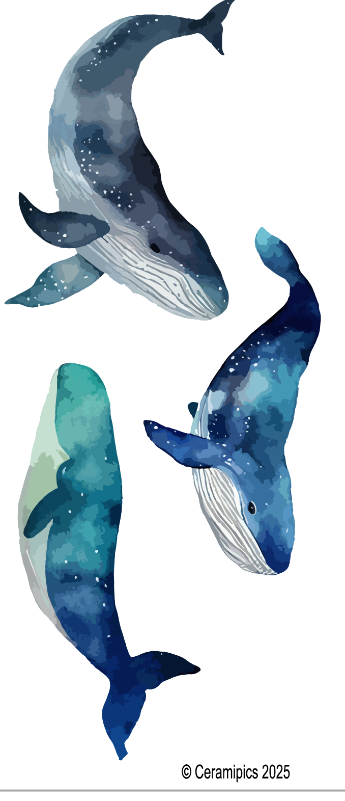 Blue Whales.png
