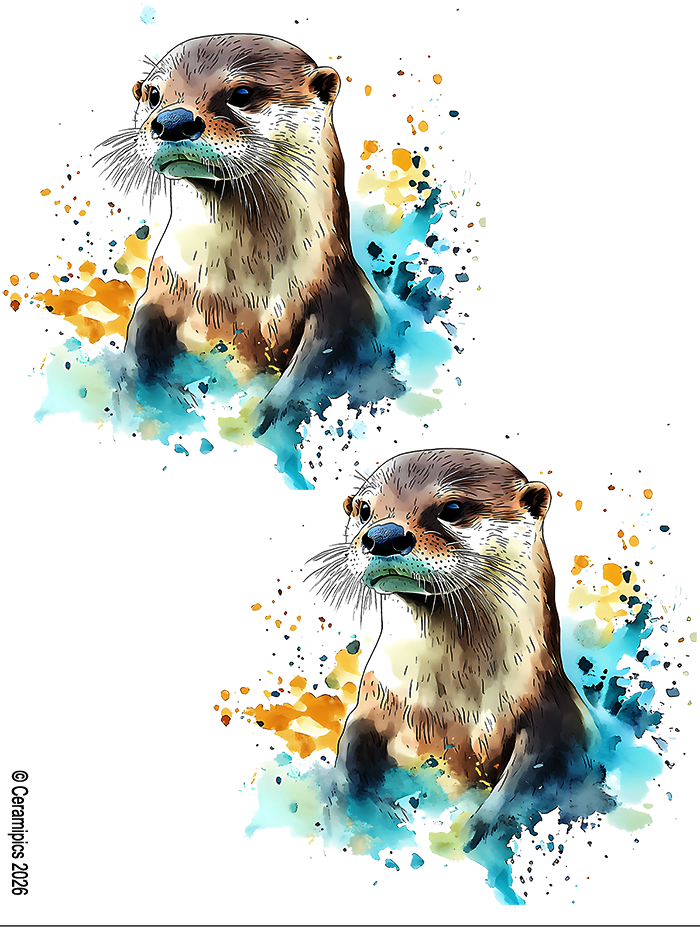Otter Watercolor.png