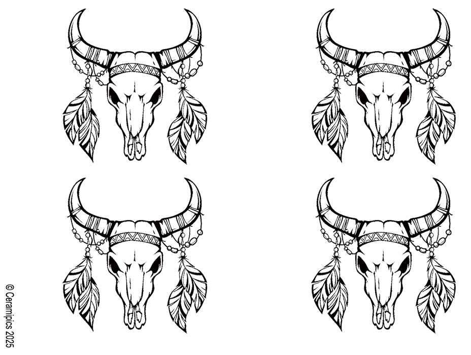 Boho Steer Skull.png
