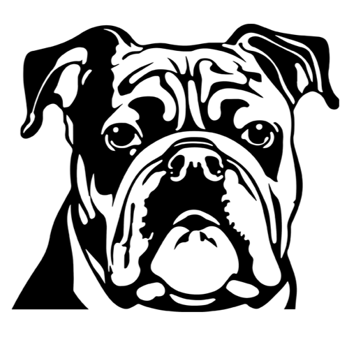 Bulldog+Face+Line+Art.png