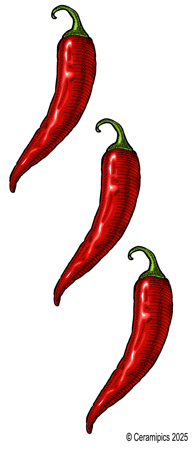 Chili Pepper.png
