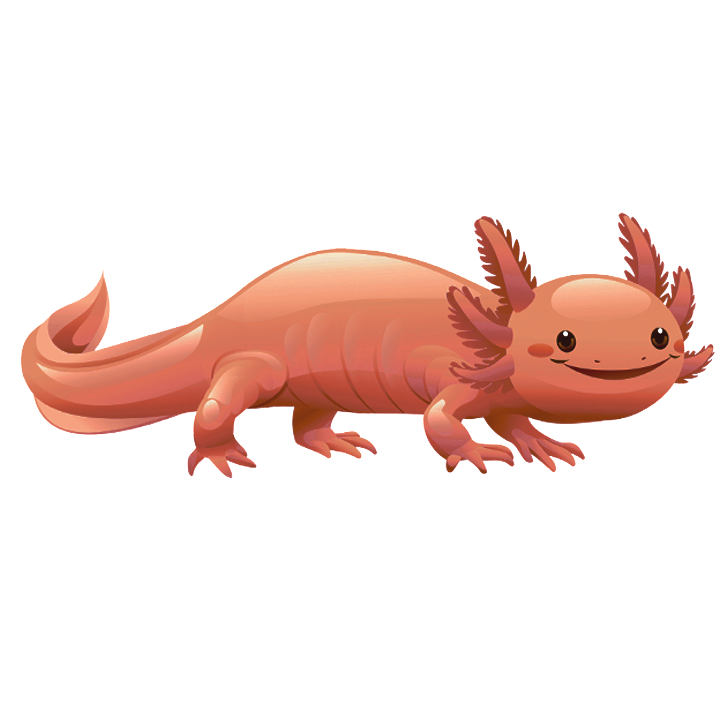 axolotl-TH.png