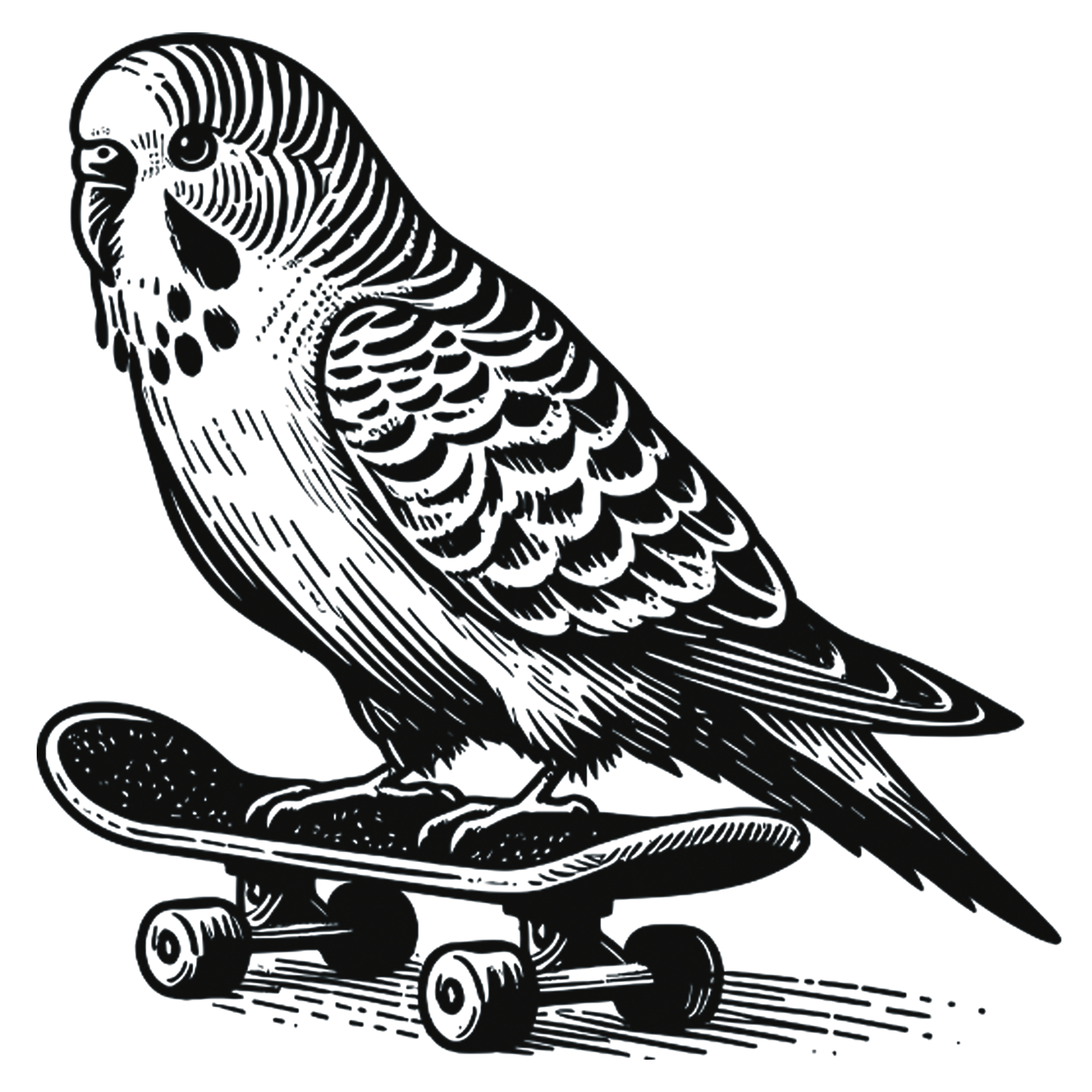 skating-budgie-TH.png