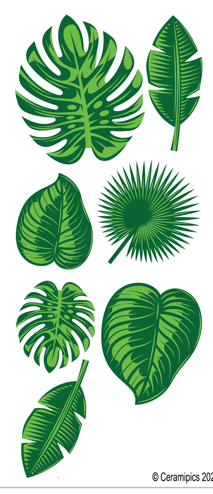 Tropical Leaves