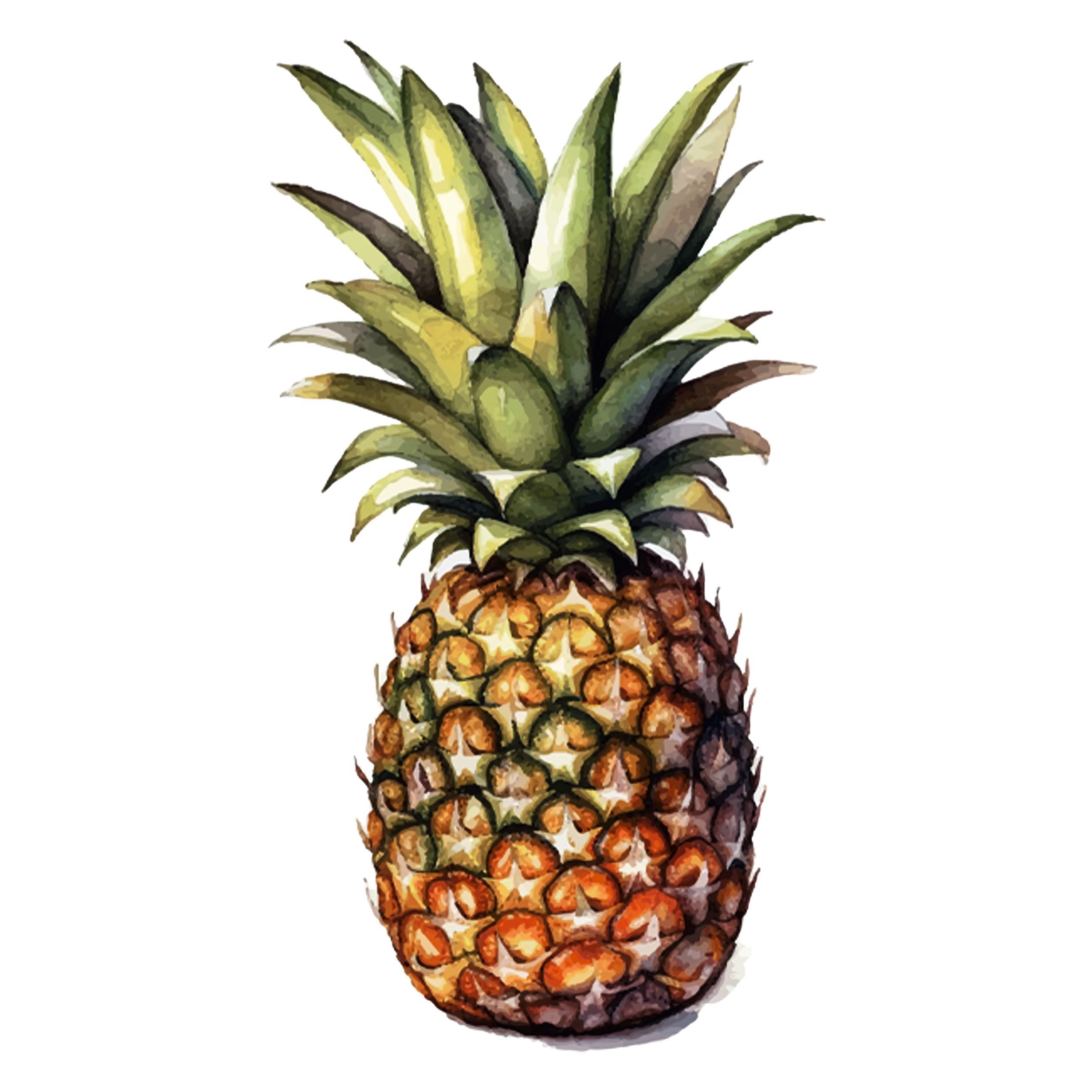 pineapple-watercolor-TH.png