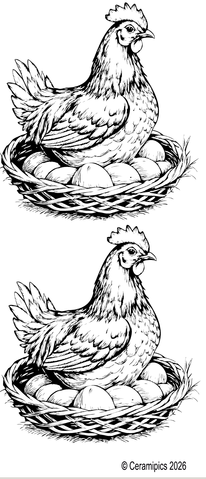 Chicken laying.png