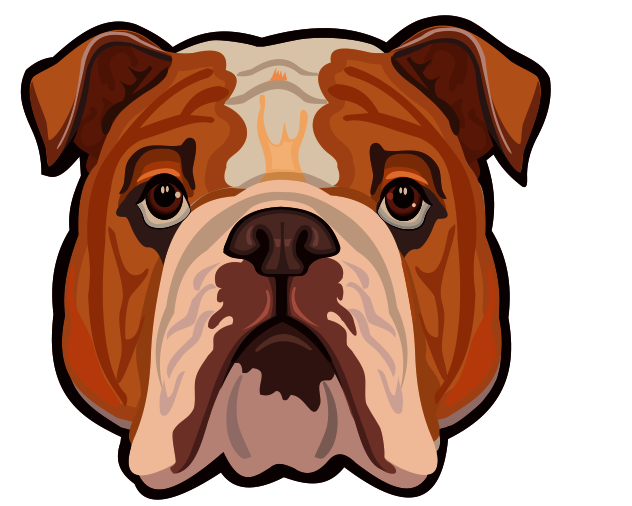 Bulldog Face Cartoon
