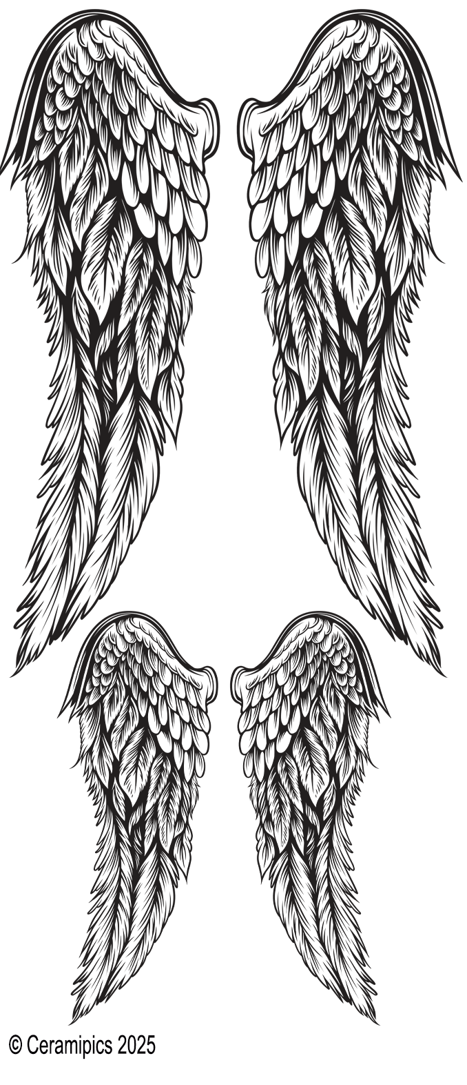 Wings.png