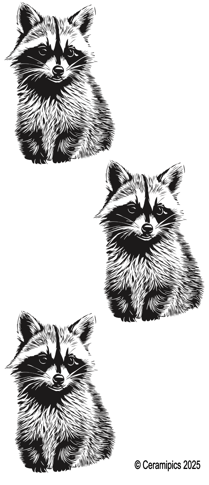 Raccoon.png