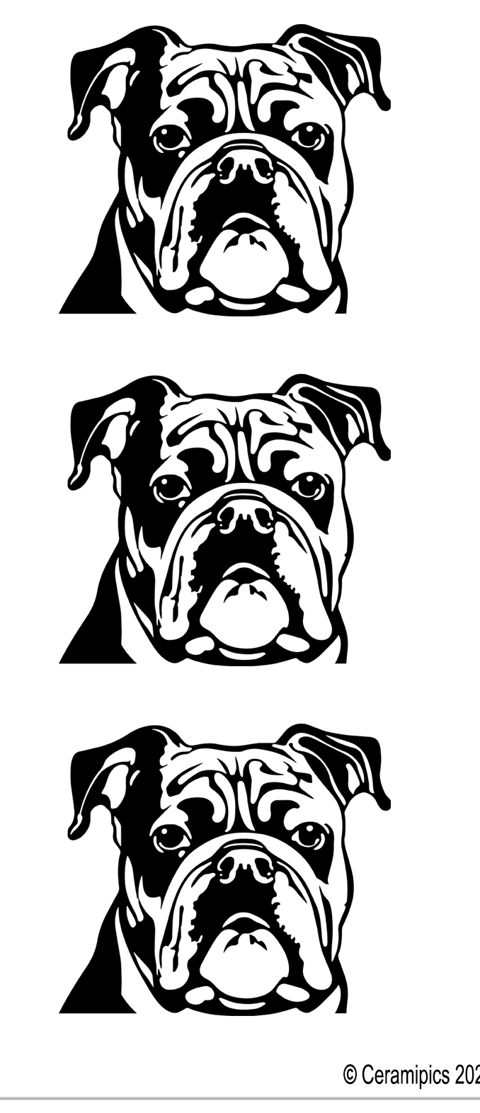 Bulldog Face Line Art.png