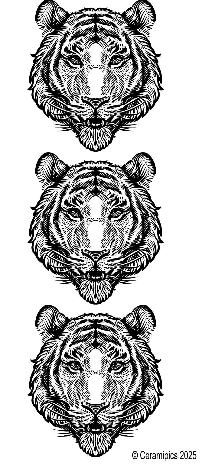 Tiger.png