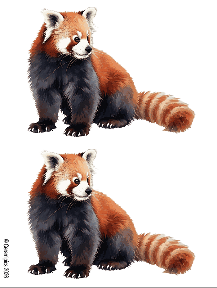 Red Panda Watercolor.png