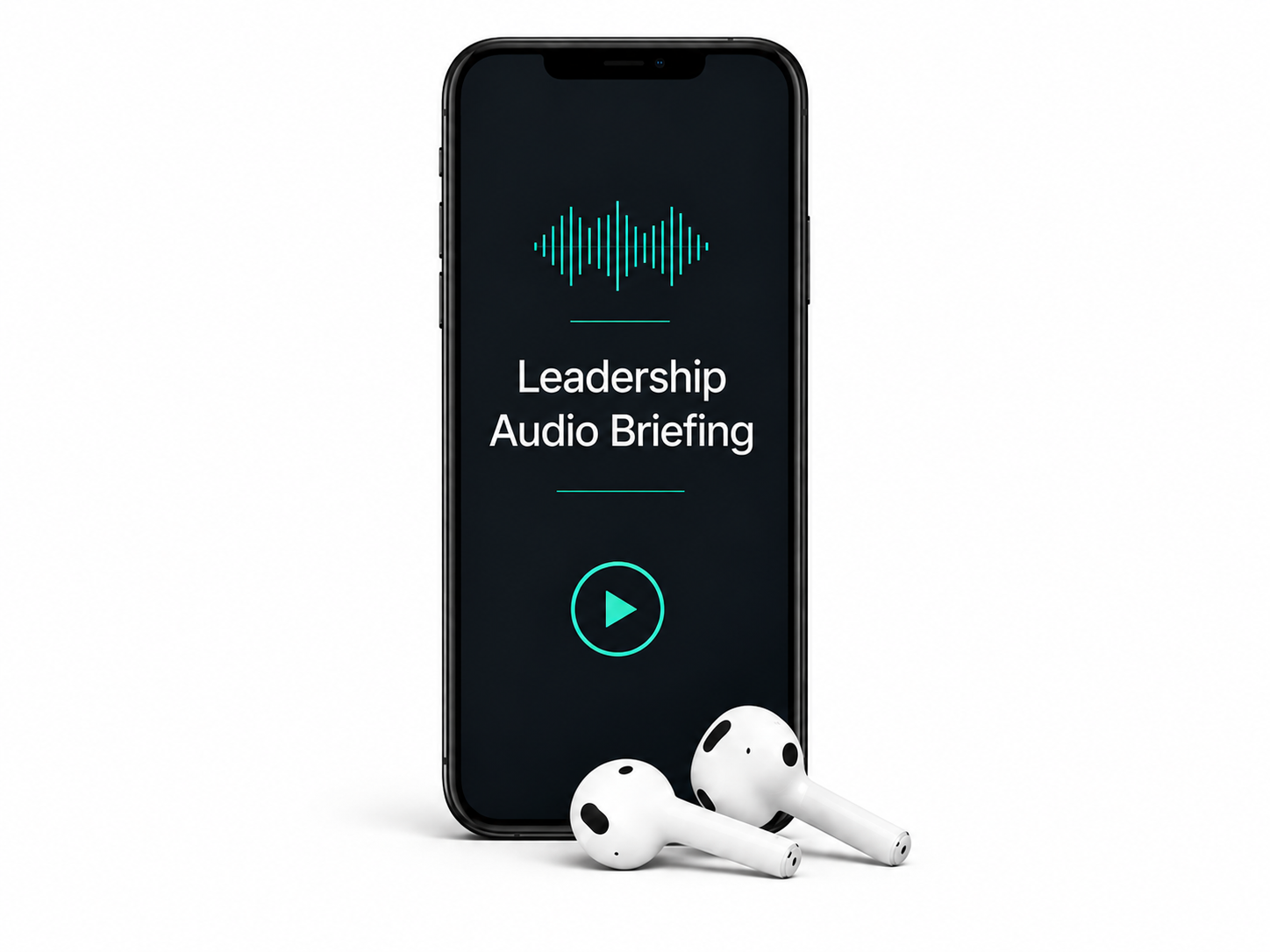 Leadership Audio Brief Image.png