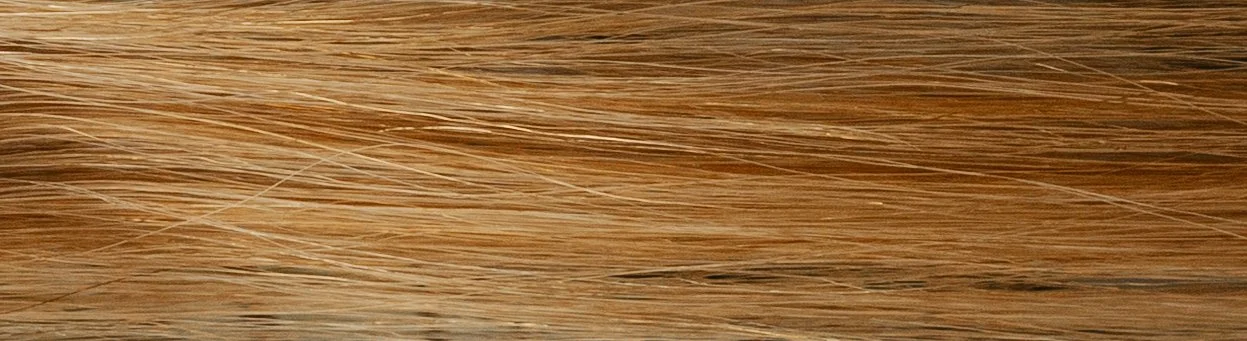 Close-up of a wooden surface with a natural wood grain pattern.