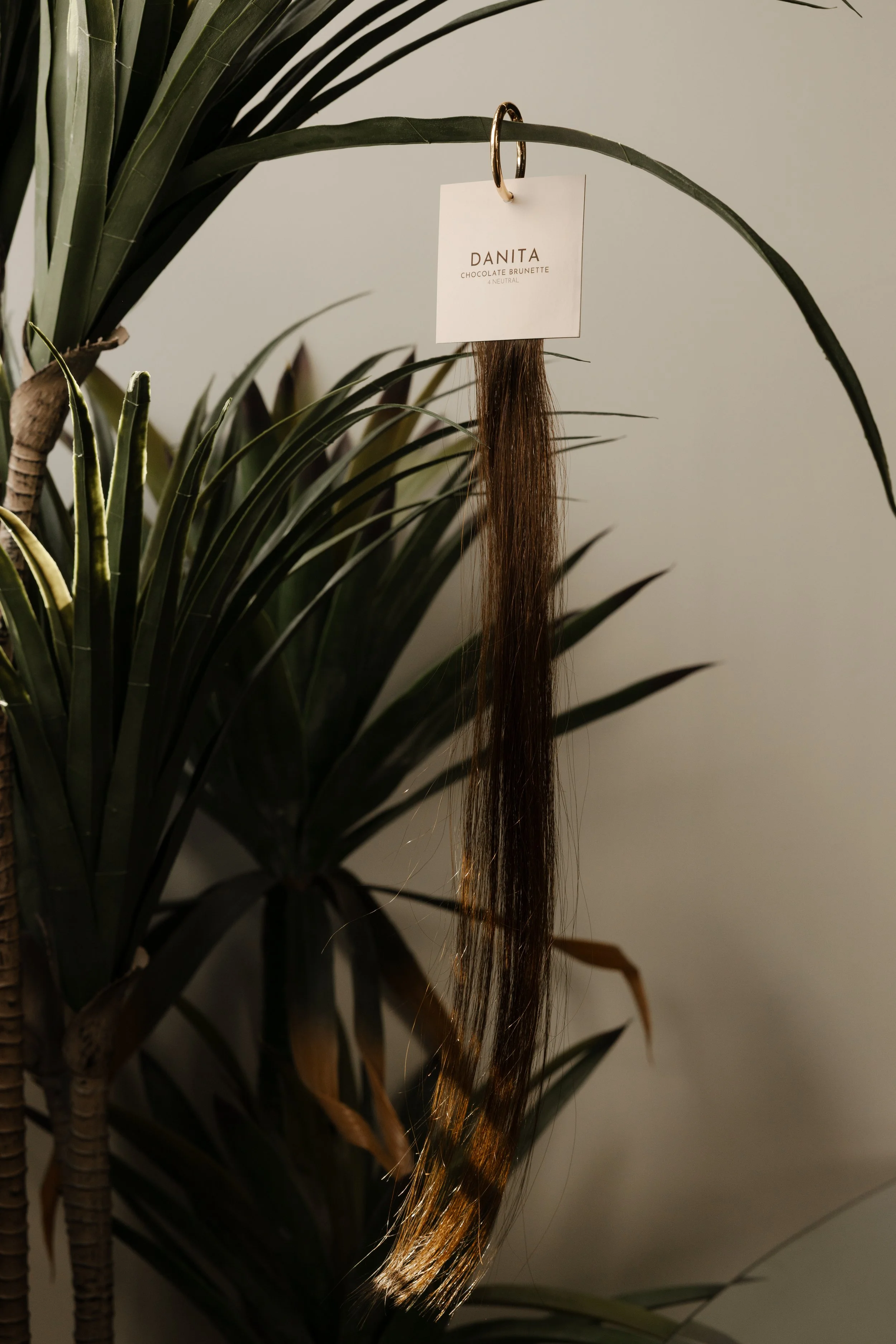 Hung hair sample labeled with a tag hanging from a plant