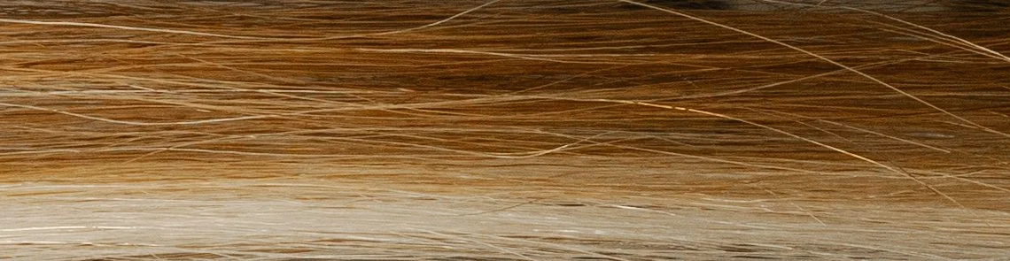 Close-up image of a person's light blonde hair.