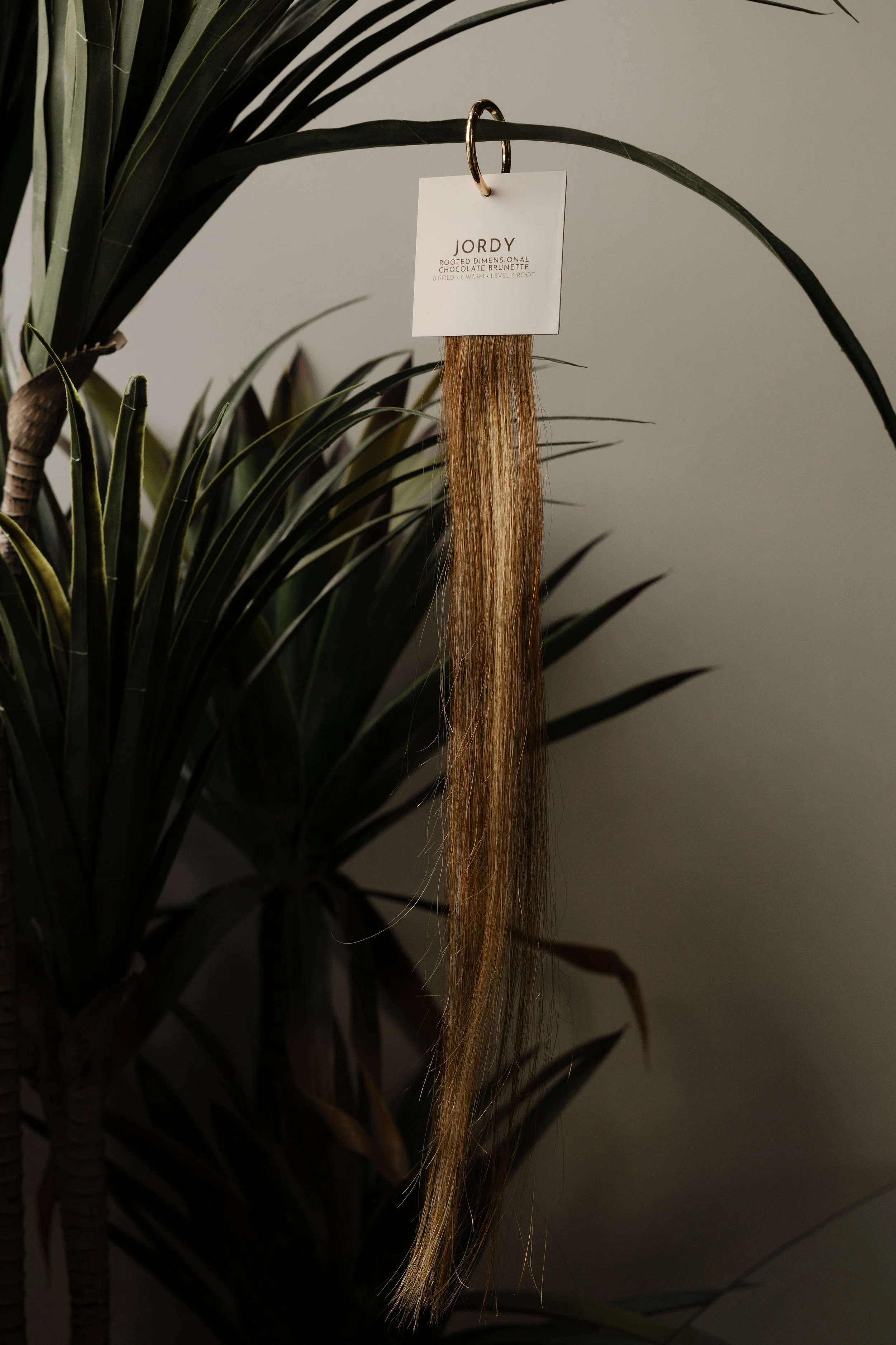 sol-strands-25.jpg (Copy)