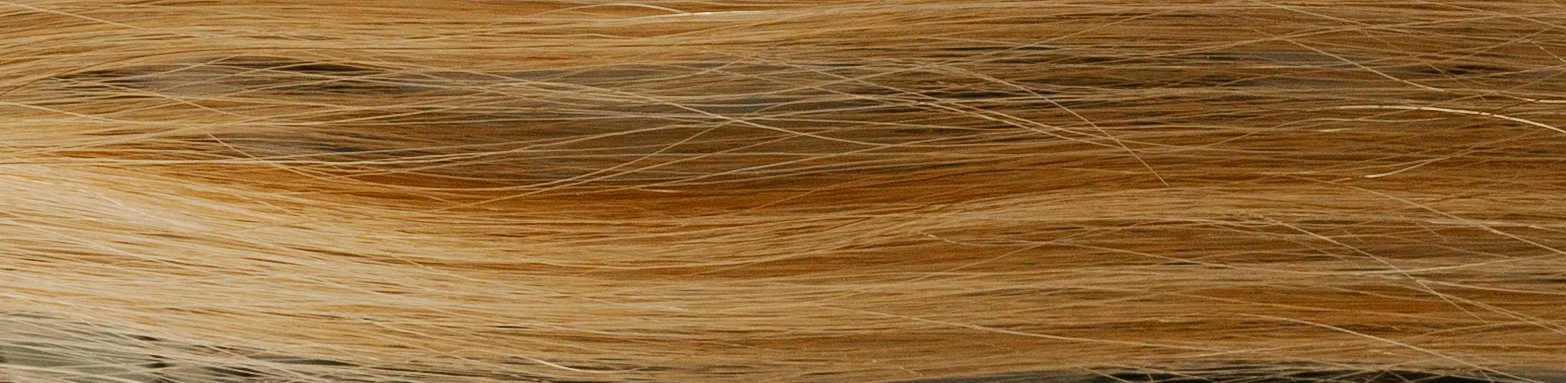 Close-up of strands of blonde hair.