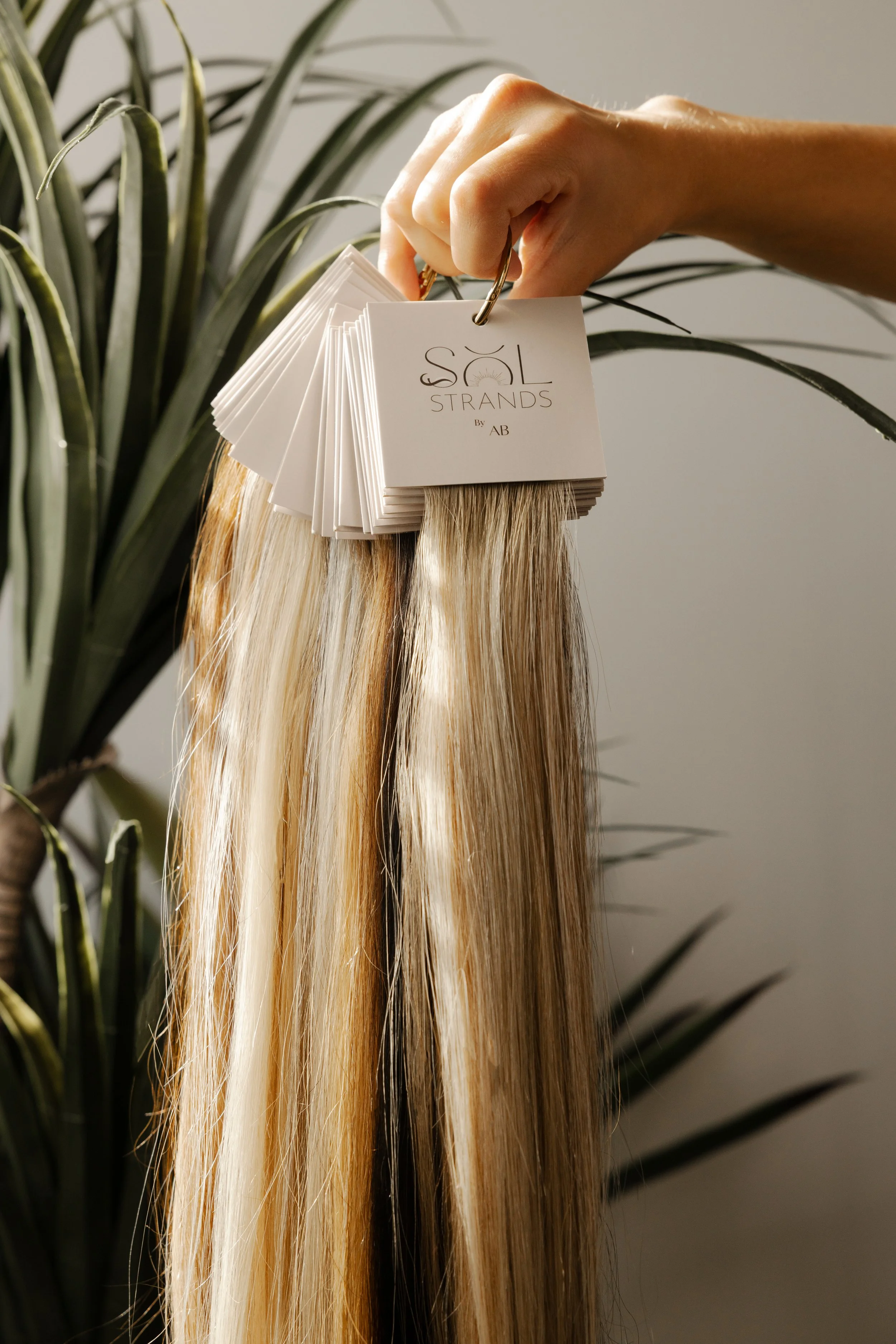 Hand holding a hair color sample card with blonde hair extensions attached, against a background of green leafy plants.