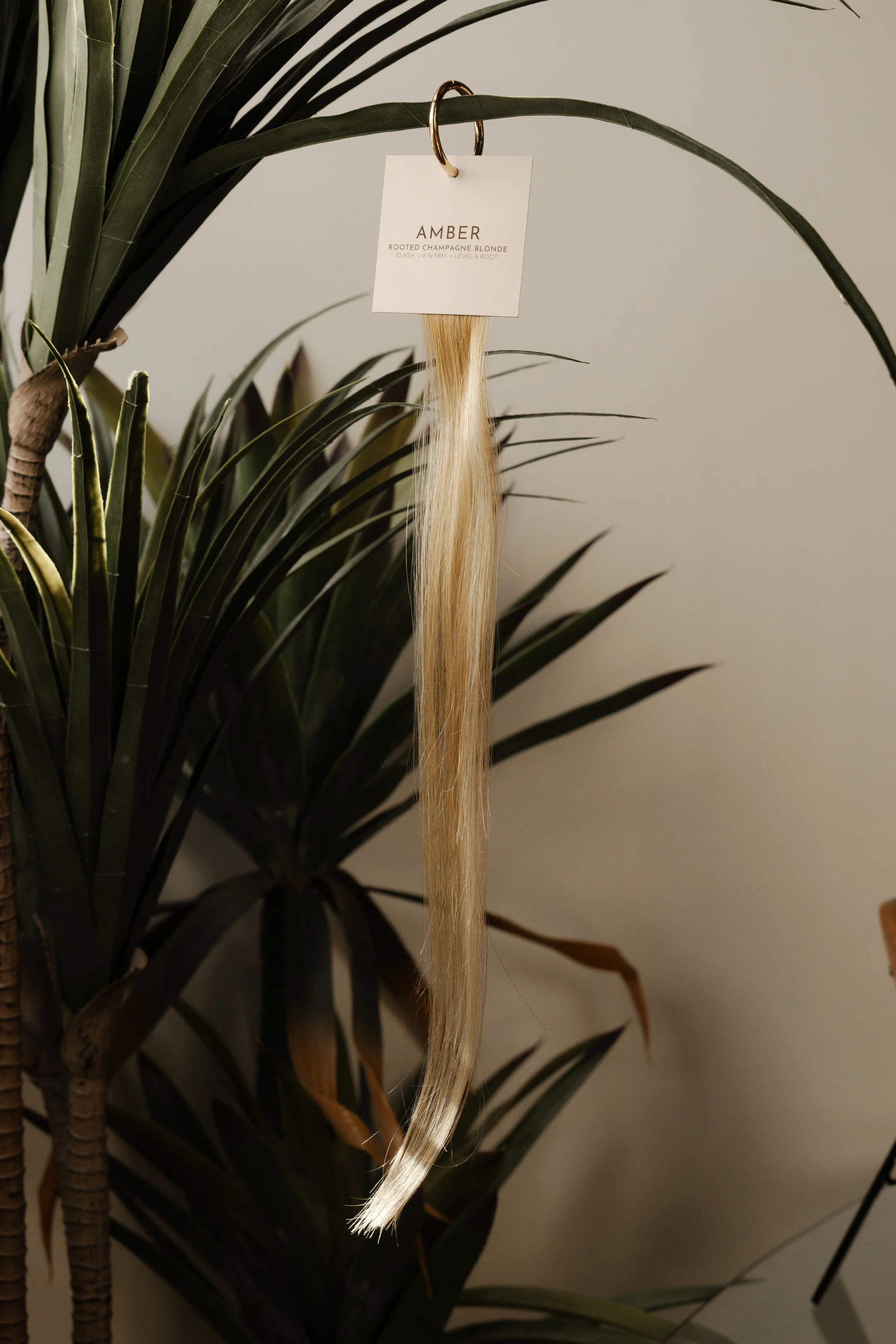 sol-strands-35.jpg (Copy)