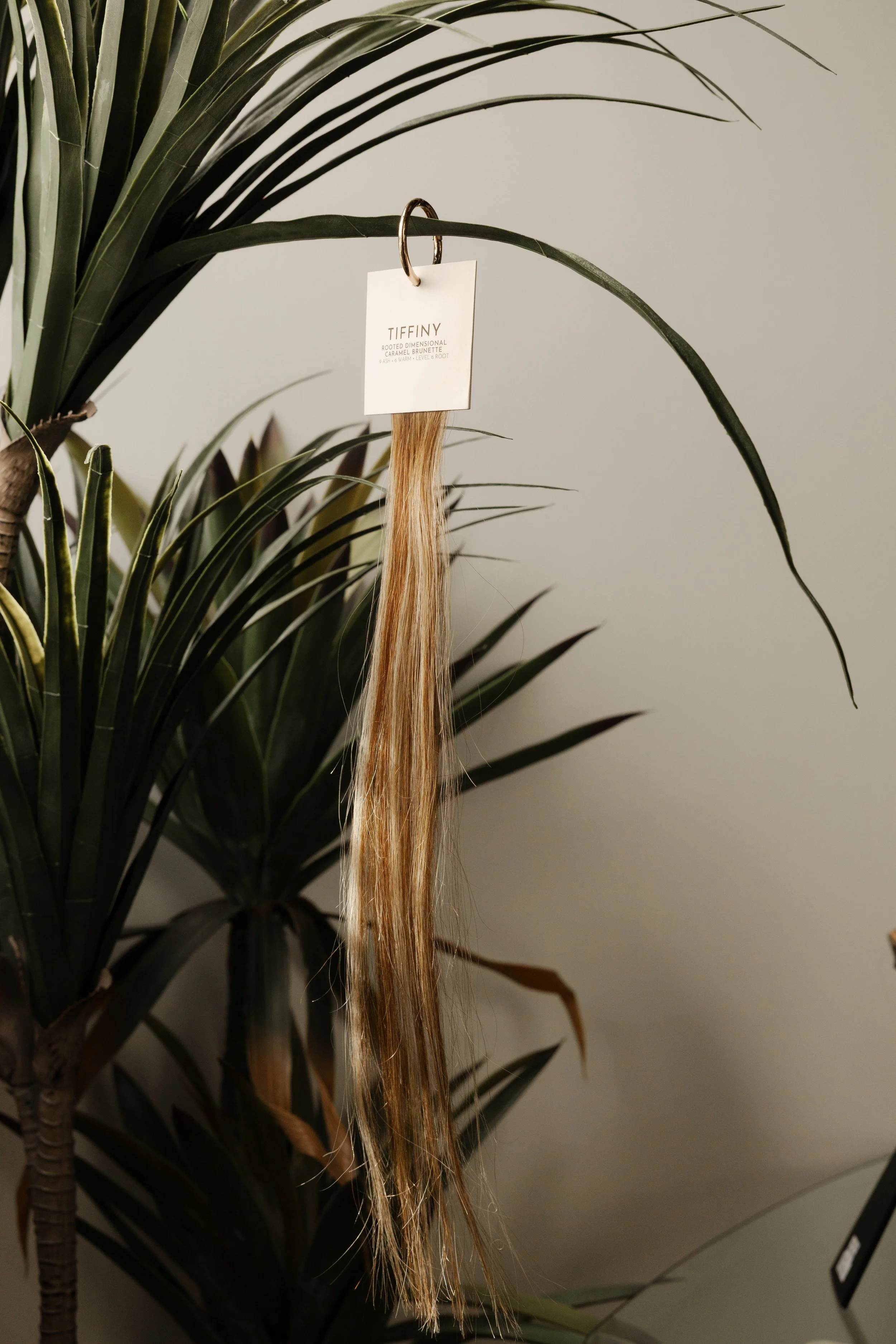 sol-strands-10.jpg (Copy)