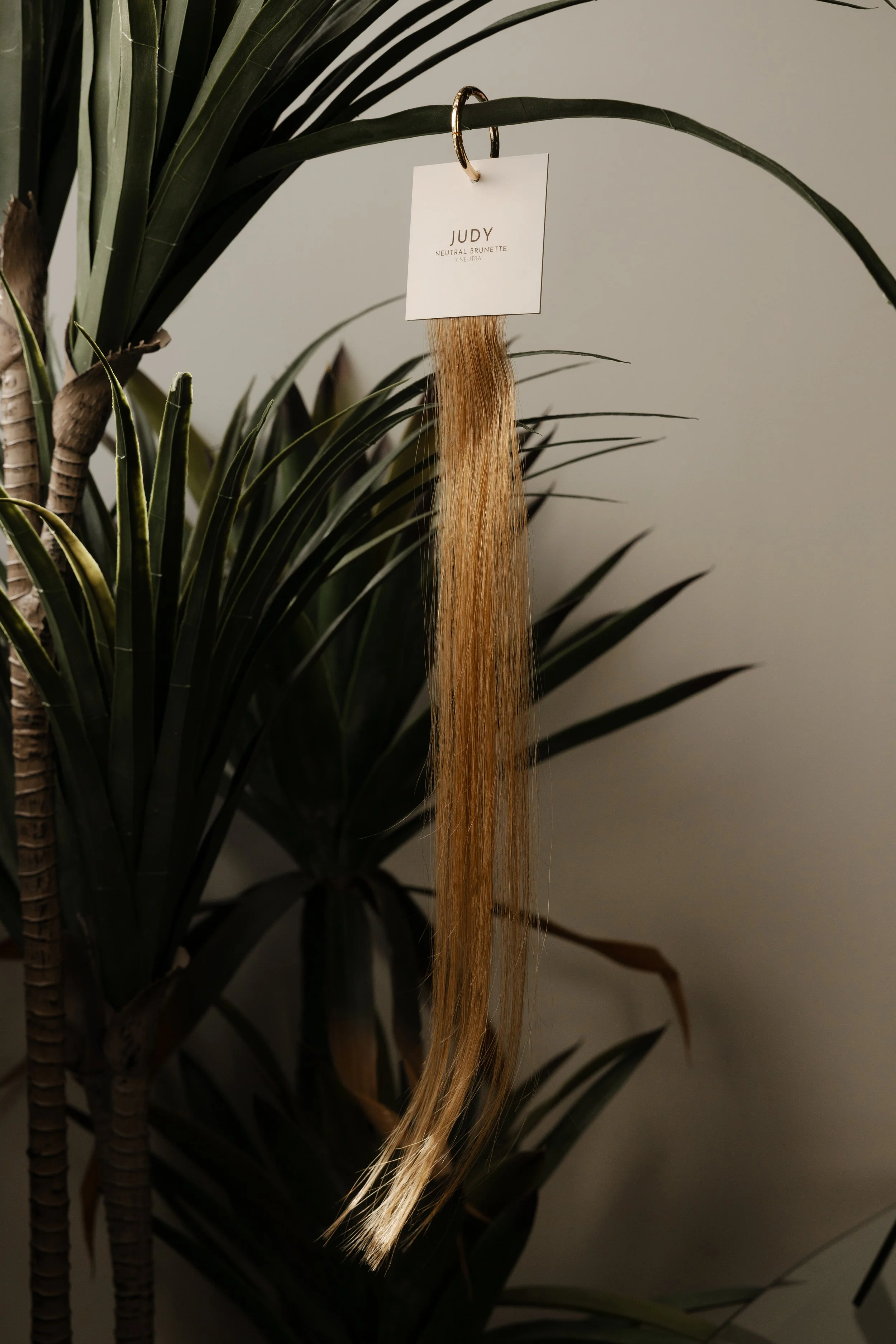 sol-strands-37.jpg (Copy)