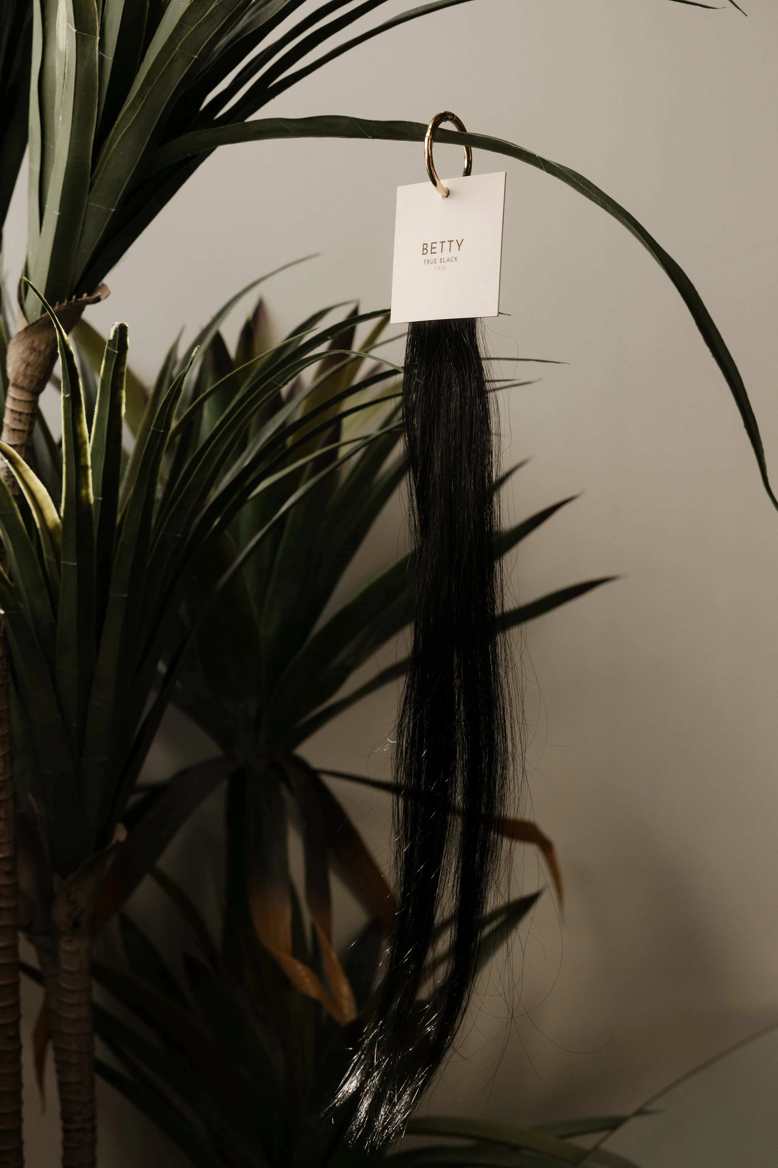 A bunch of long black hair extension hanging from a ring on a plant with dark green leaves.