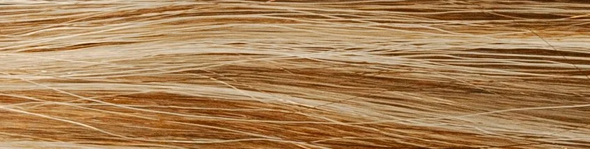 Close-up of blonde hair strands.