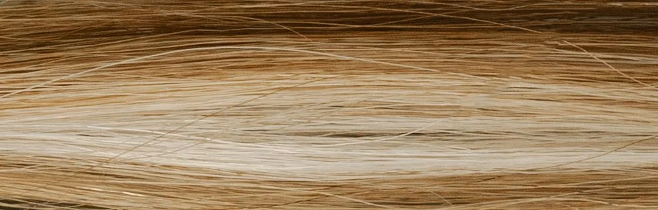 Close-up of light and dark blonde hair strands.